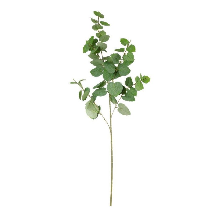 TRALCIO EUCALYPTO CM.98 VERDE